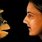 Teoría de la evolución de Darwin: por qué es incorrecto decir que “descendemos de los monos” y otras 4 cosas que quizás no sabías sobre nuestro origen