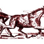 Acertijo óptico. Encuentra al jockey