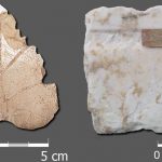 Los romanos tenían predilección por el nácar como elemento de lujo decorativo para las villas hispanas