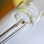 La enfermedad de Lyme es desconcertante, incluso para los expertos