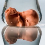 7 falsos mitos de la reproducción asistida