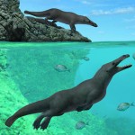 Esta rara ballena de cuatro patas caminó en la tierra hace 40 millones de años