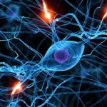 Hallan cambios cerebrales 20 años antes del diagnóstico de alzhéimer