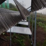 Redes que “ordeñan” la niebla y generan agua en su lugar: el invento de Canarias para combatir la sequía