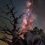 El 2024 en 20 magníficas fotografías publicadas en National Geographic