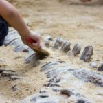 La región oculta donde podrían estar los primeros fósiles de dinosaurios