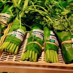 CAMBIAN BOLSAS DE PLÁSTICO POR HOJAS DE PLÁTANO