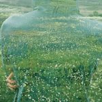 China desarrolla un material que se mimetiza con el entorno como si fuese un camaleón, haciendo casi invisible al objeto que lo integra