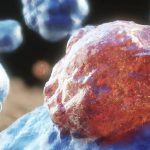 Consiguen lo que se creía imposible en la lucha contra el cáncer: “Un fenómeno asombroso”