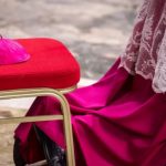 El significado del hábito rojo de los cardenales