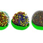 JCVI-syn3A, el organismo creado de manera artificial que es capaz de reproducirse y dividirse