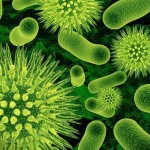 Científicos quieren crear células humanas capaces de resistir virus