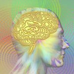 Tu cerebro decide qué vas recordar en el futuro