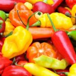 ¿Cuál es el chile más picante del mundo?
