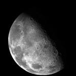 China llevará plantas e insectos a una zona inexplorada de la Luna este año