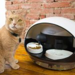Catspad: El primer dispensador para comida de gatos conectado ya es una realidad
