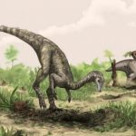 No estaban solos: había más mamíferos viviendo en la Tierra millones de años antes de la extinción de los dinosaurios