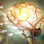 Dopamina y serotonina: descubre sus diferencias en el cerebro