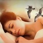 ¿Se puede aprender mientras dormimos?