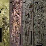 De ataúdes individuales a momias apiladas: una tumba de Tebas muestra cómo cambiaron los entierros del Antiguo Egipto