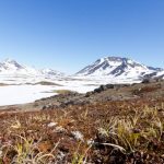 El noroeste de Groenlandia estuvo libre de hielo hace 400.000 años