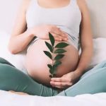 ¿Pueden los bebés sentir desde el útero las emociones de sus madres?