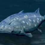 Un milenario y diminuto pez cambia lo que sabemos sobre nuestra propia evolución