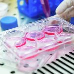 Crean un ‘transportador de fármacos’ para combatir el cáncer sin repercusiones nocivas