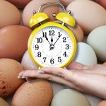 ¿En qué momento del día conviene comer huevos para aprovechar sus beneficios?