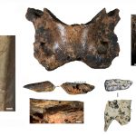 Hallan en el Tíbet los restos de una especie humana extinta
