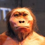 Los humanos casi nos extinguimos hace 900 000 años