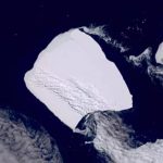 El mayor iceberg del mundo se vuelve a mover después de 30 años encallado