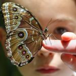 Los 5 rasgos clave de las personas inteligentes y cómo los reflejan en su vida diaria, según la IA