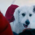 Quién es Krypto, el icónico superperro de Superman que regresa a la pantalla