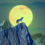 La luna ‘del lobo’ de este 1 de enero fue la superluna más grande y brillante del año