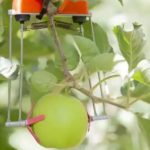 El invento contra la sequía que revoluciona el campo y ya usan en Marruecos: mide cada fruta para regar mejor