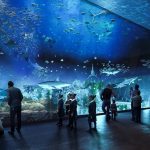 Inauguran el acuario más grande de América Latina