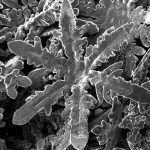 La nanotecnología está aquí y estos nanocopos de nieve lo demuestran