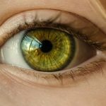 Los humanos y los peces comparten genes que permiten curar la vista