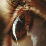Un láser en el ojo revela un nuevo color jamás visto: lo llaman ‘Olo’