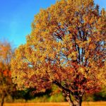 Esto es lo que sucede durante el equinoccio de otoño
