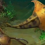Este es el “pez Batman” que surcaba los mares hace 400 millones de años