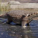 Identifican en Argentina una nueva especie de dinosaurio enano de 70 millones de años