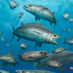 Cientos de fósiles hallados en Egipto obligan a reescribir la historia de los océanos