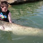 El negocio de la pesca del siluro en el Ebro: la sorprendente industria del pez monstruoso