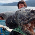 Pescador atrapa gigante monstruo marino