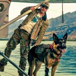 La nueva película de Brad Pitt es un thriller de supervivencia que ya tiene a todos rezando por su perro: solo 2 meses para su estreno en cines