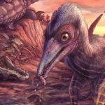 Hallan un pterosaurio en Arizona, el reptil alado más antiguo conocido en Norteamérica