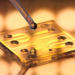 Crean un sensor que detecta la contaminación del agua en tiempo real.