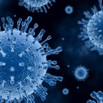 Logran frenar la capacidad infecciosa del virus del sida